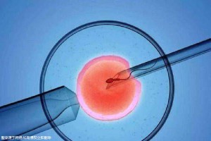 爱心供卵代怀助孕咨询哪家好