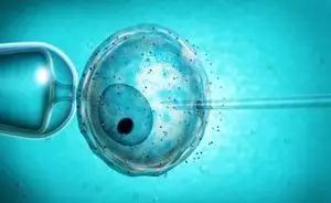 案例